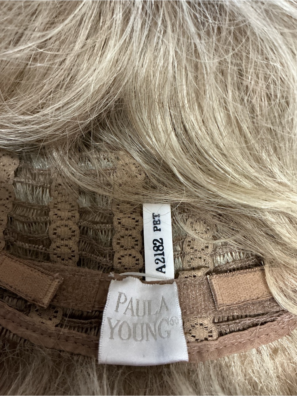 Paula YOUNG wig pixie cut model A2182 beautiful style just shake before you wear - Picture 10 of 12
